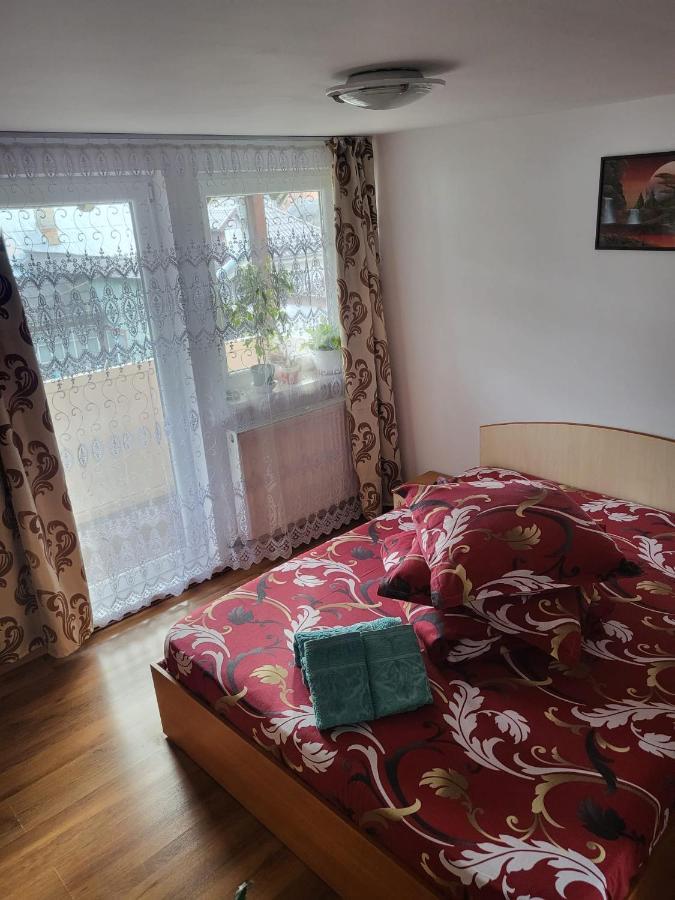 Pensiunea Lacramioara Vatra Dornei Luaran gambar