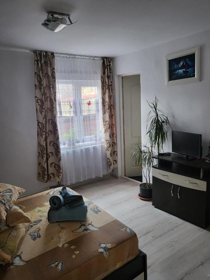 Pensiunea Lacramioara Vatra Dornei Luaran gambar