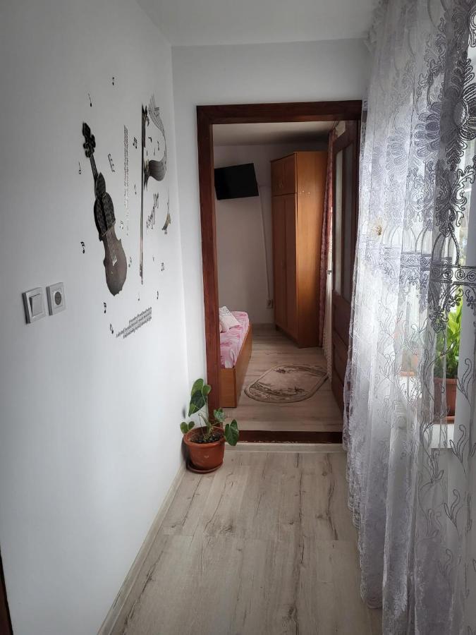 Pensiunea Lacramioara Vatra Dornei Luaran gambar